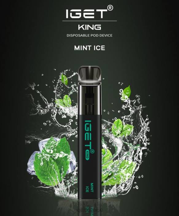 Online X02H449 IGET king - 2600 bouffées glace à la menthe