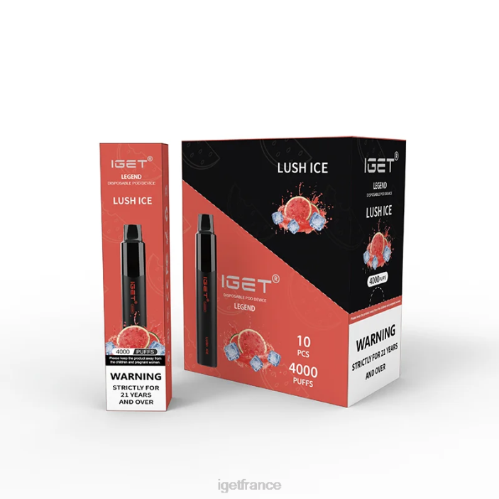 Vape X02H327 IGET Legend 4000 bouffées glace luxuriante