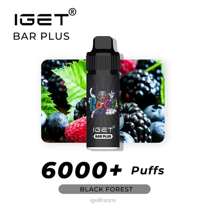 France X02H563 IGET bar plus - 6000 bouffées forêt Noire